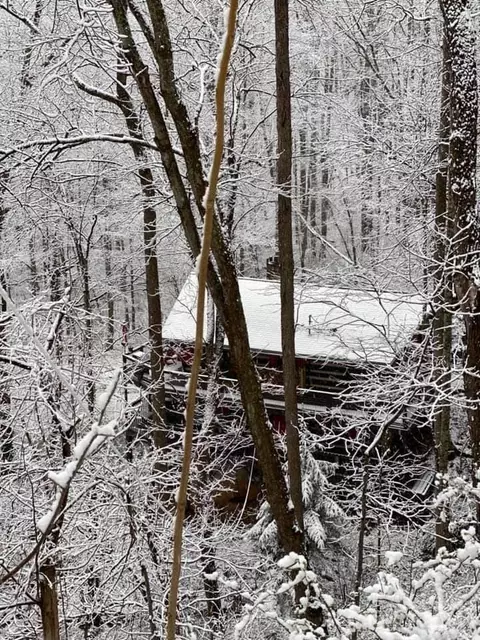 Other - 62 Weeping Cherry Forest Rd, Fairview, NC 28730 photo 10 of 13