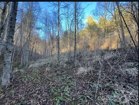 000 Grapevine Rd, Marshall, NC 28753