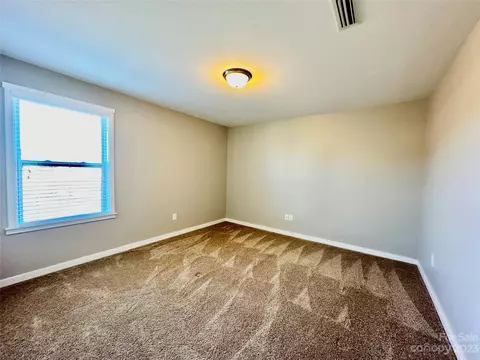 30108 Turtle Point Ct, Lancaster, SC 29720 photo 19