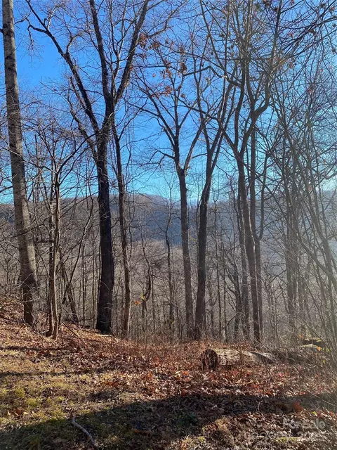 000 Wash Freeman Rd, Hendersonville, NC 28792