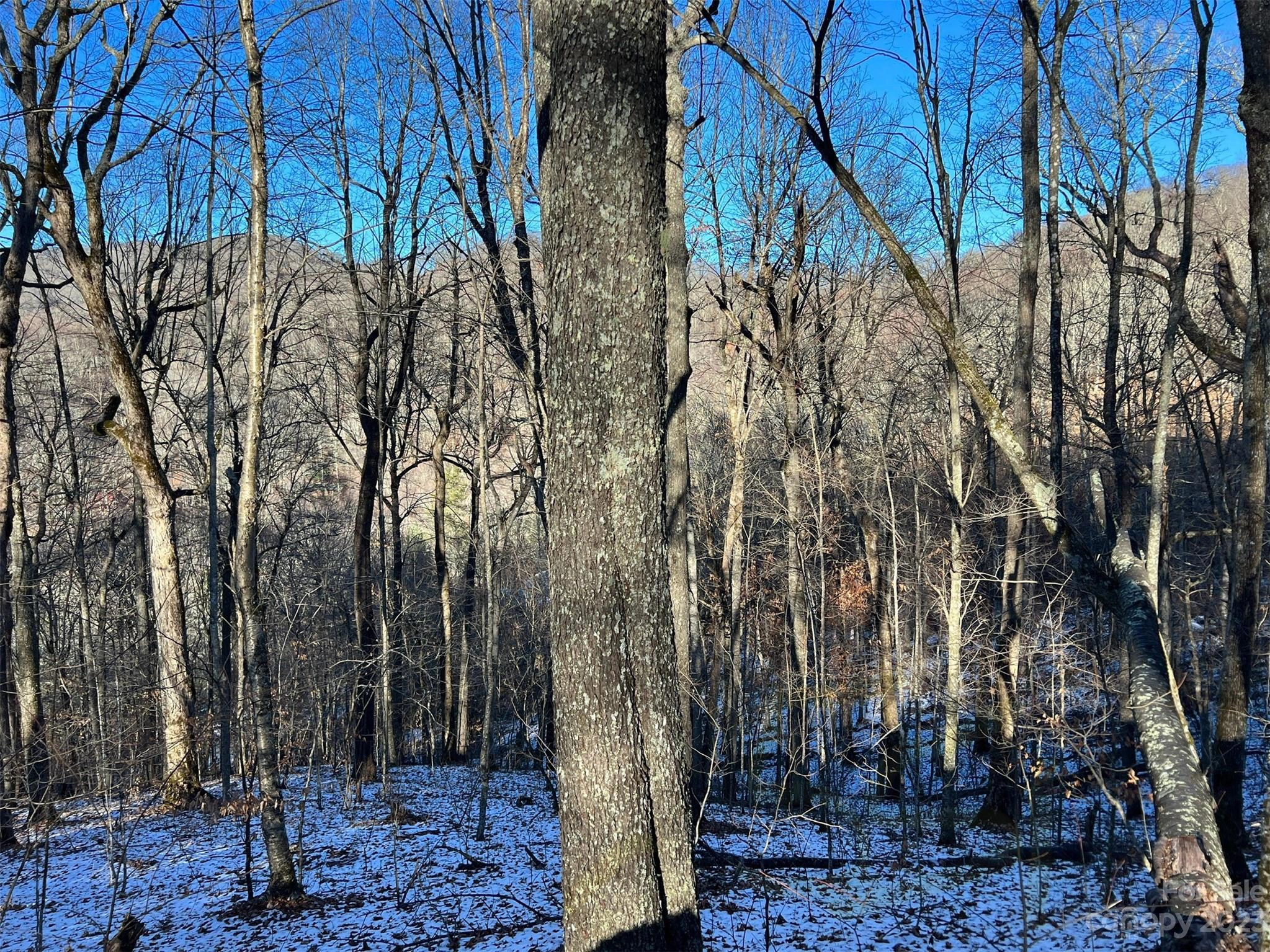 000 El Miner 551 Dr Unit 551  