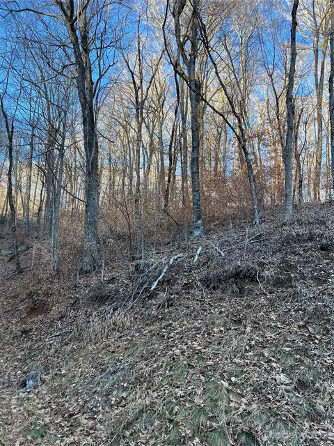 000 Chestnut 80 Ln #80, Mars Hill, NC 28754