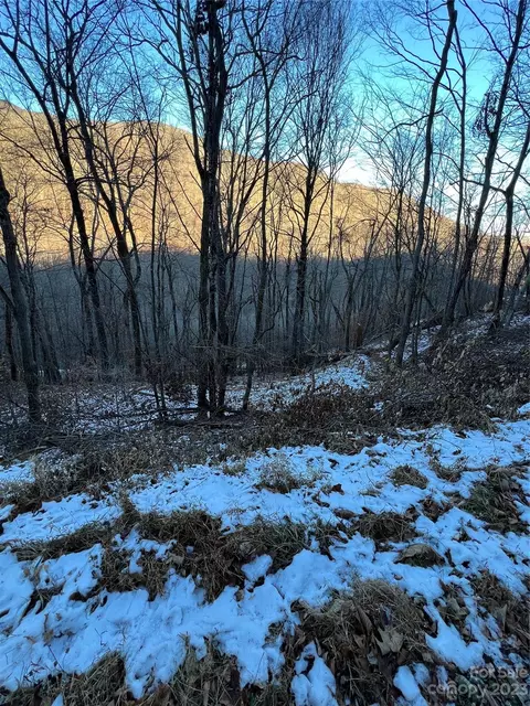 000 Puncheon 170 Ln #170, Mars Hill, NC 28754