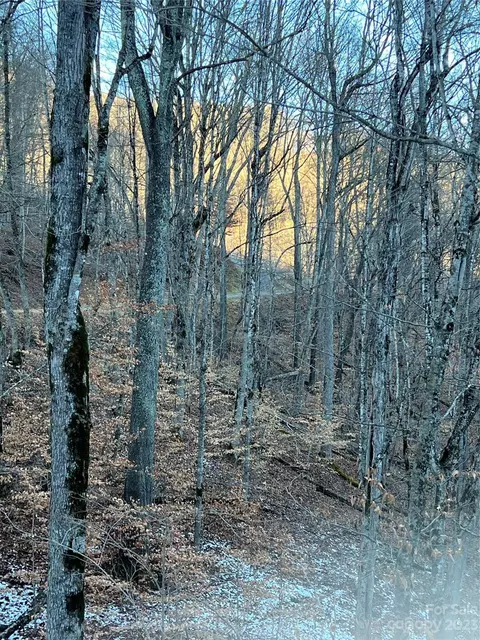 000 Bee Tree 69 Ln #69, Mars Hill, NC 28754