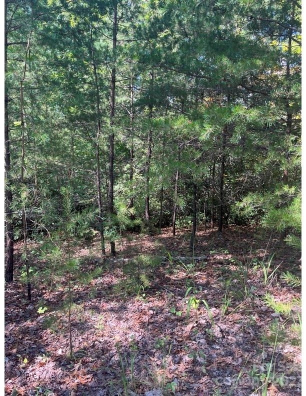 0 Brookside 10 Pkwy Unit 10  