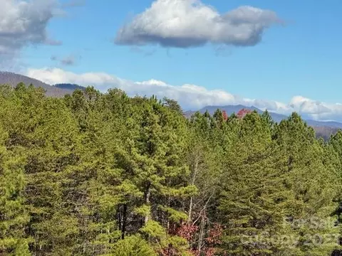 000 Palisade 22 Dr #22, Rutherfordton, NC 28139
