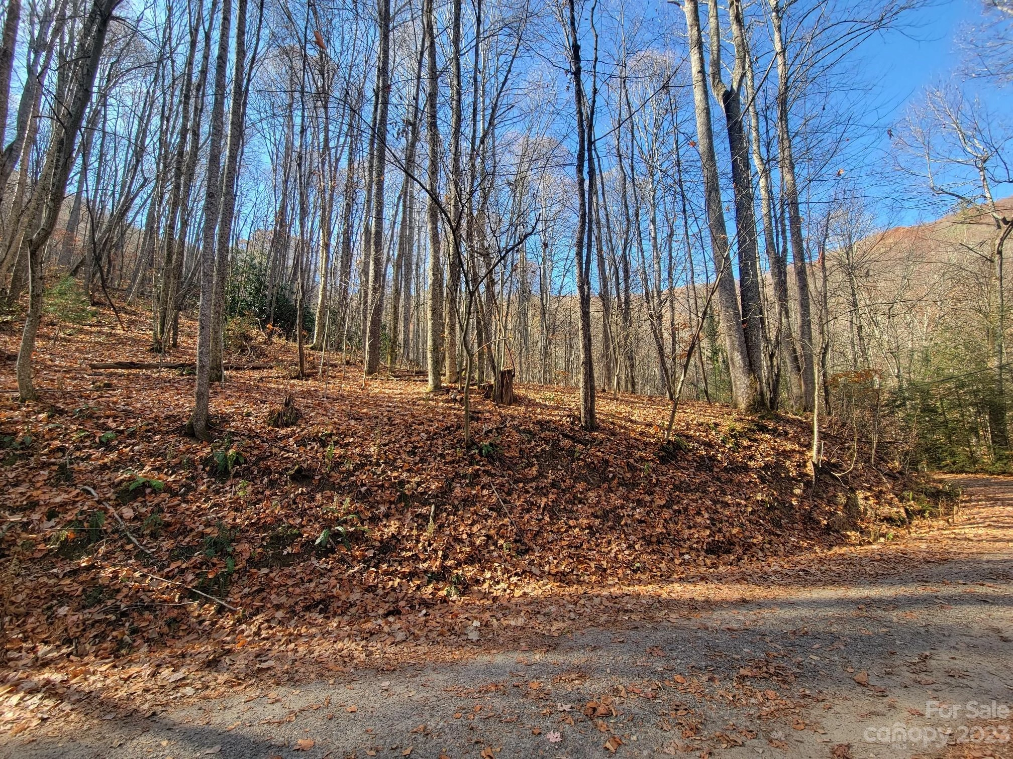 23 Forbidden 23 Cv Unit 23