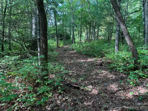 0000 Green Hollow Ln, Brevard, NC 28712