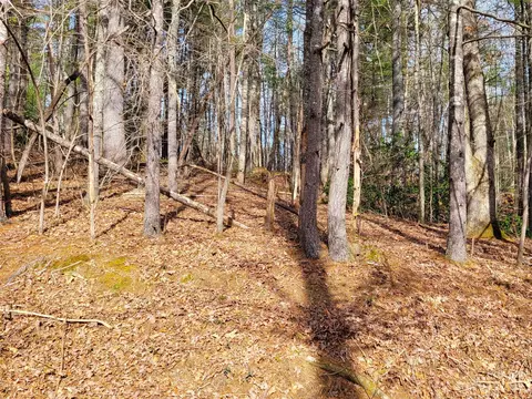 00000 Delacy Dr, Hendersonville, NC 28739
