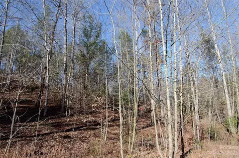 000 Wildwood Mountain 19 Ln #19, Marion, NC 28752