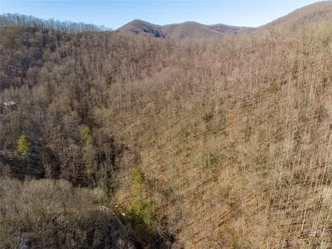 Pumpkintown Road, Sylva, NC 28779 photo 8