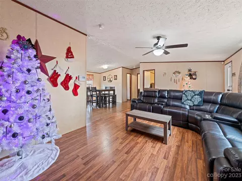 8 Spring St, Candler, NC 28715 photo 10