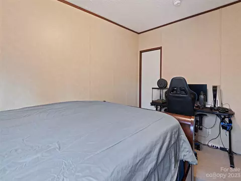 8 Spring St, Candler, NC 28715 photo 24