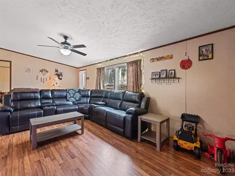 8 Spring St, Candler, NC 28715 photo 9