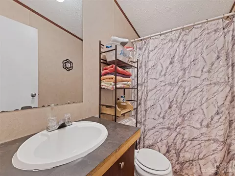 8 Spring St, Candler, NC 28715 photo 22