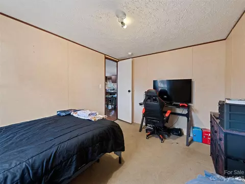 8 Spring St, Candler, NC 28715 photo 21