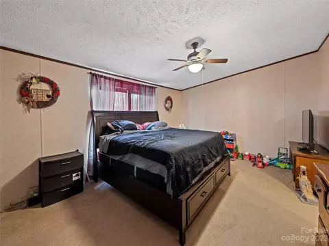 8 Spring St, Candler, NC 28715 photo 17