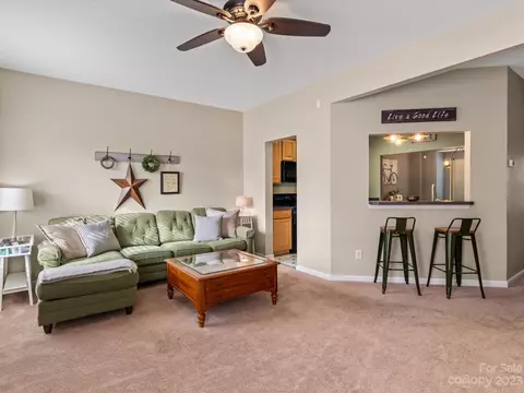 9674 Bailey Rd, Cornelius, NC 28031 photo 8