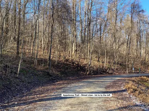 Appaloosa Trail, Waynesville, NC 28785