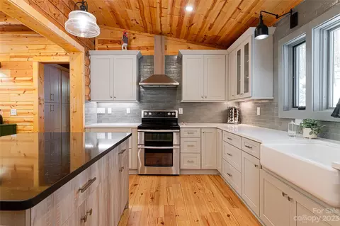 321 Mayapple Ln, Mars Hill, NC 28754 photo 4