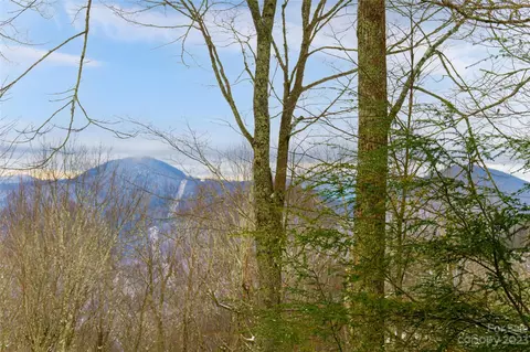 321 Mayapple Ln, Mars Hill, NC 28754 photo 43