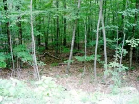 100 Hawthorne Rd, Beech Mountain, NC 28604 photo 3