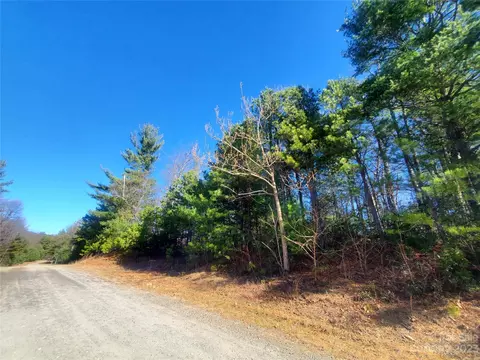143 Staghorn Road #143, Purlear, NC 28665