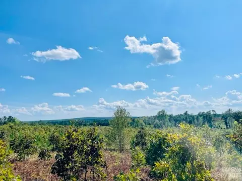 0 Gun O Field Rd, Wallace, SC 29596