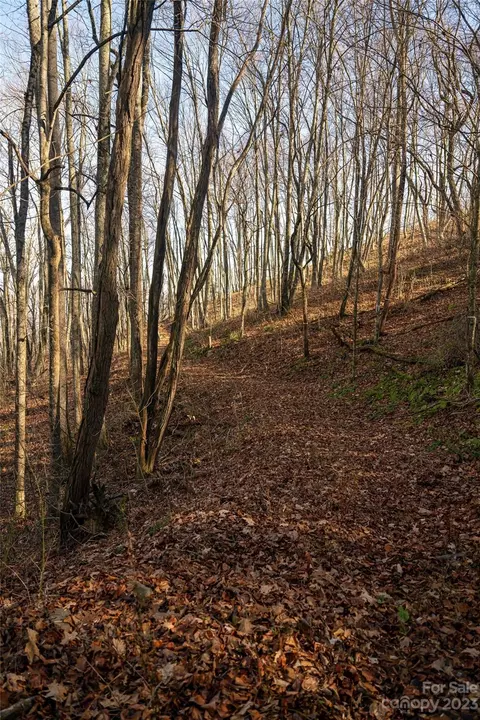 Sleepy Hollow Drive, Waynesville, NC 28785