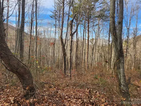 0000 Wagon Wheel Way, Canton, NC 28716