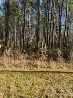 Nc 10 Highway, Catawba, NC 28609