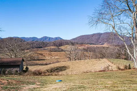 Old Newfound Road, Leicester, NC 28748