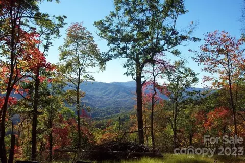 46 Still Branch Rd, Sylva, NC 28779 photo 11