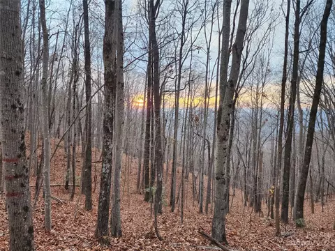 22 Amelia Ln, Bostic, NC 28018