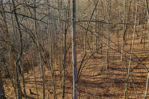 3592 Back Bluff Dr, Morganton, NC 28655 photo 4