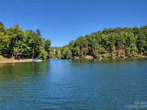 60 Canoe Dr, Mill Spring, NC 28756 photo 42