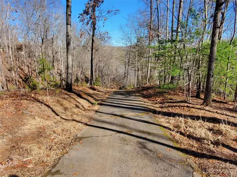 60 Canoe Dr, Mill Spring, NC 28756 photo 39
