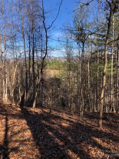 00 Silver Mill Rd, Marshall, NC 28753 photo 11