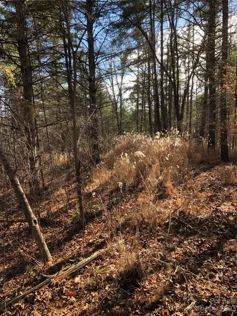 00 Silver Mill Rd, Marshall, NC 28753 photo 12