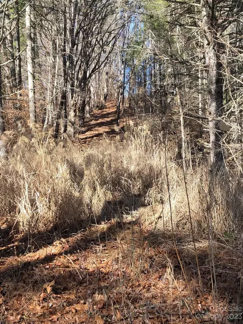00 Silver Mill Rd, Marshall, NC 28753 photo 10