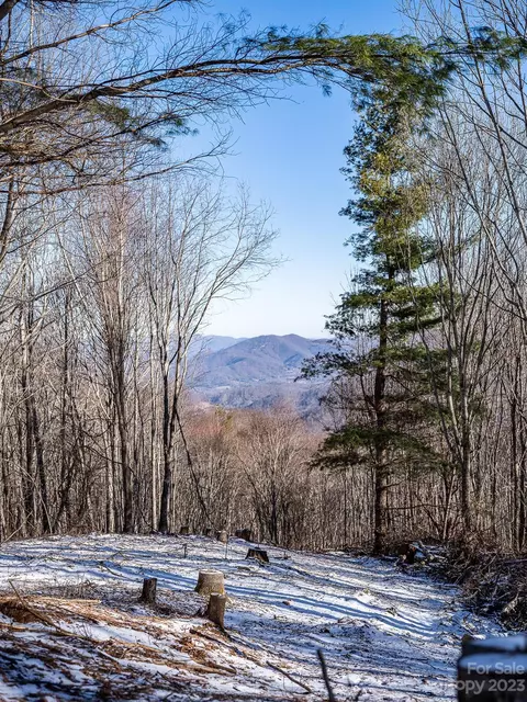 1425 Presidential 2 Dr #2, Waynesville, NC 28786
