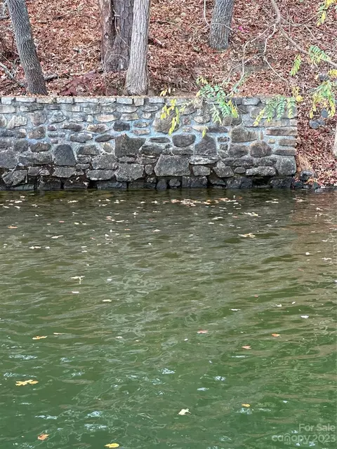 Shoreline Court, Lake Lure, NC 28746
