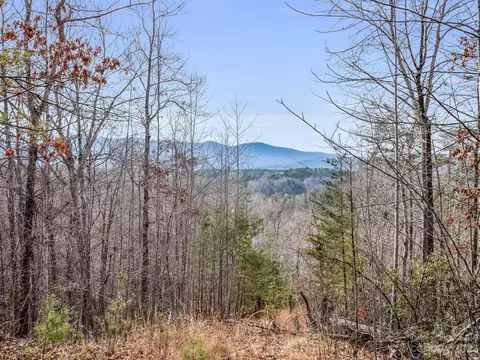 4 Parkway North Road #4, Mill Spring, NC 28756