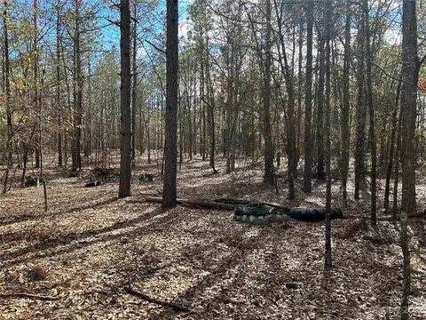 3117 Timrod Rd, Bethune, SC 29009 photo 10