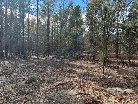 3117 Timrod Rd, Bethune, SC 29009 photo 6