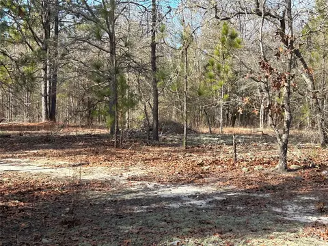 3117 Timrod Rd, Bethune, SC 29009 photo 7