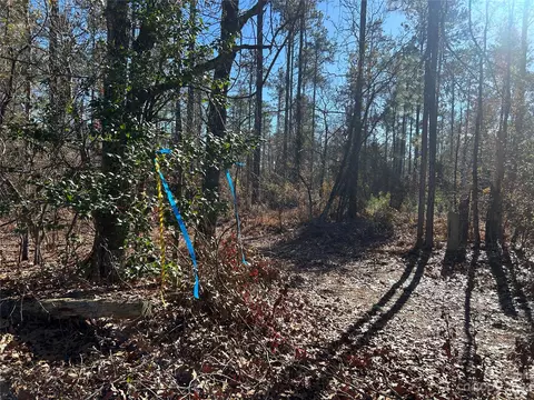 3117 Timrod Rd, Bethune, SC 29009 photo 2