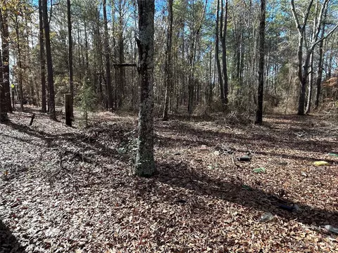 3117 Timrod Rd, Bethune, SC 29009 photo 11