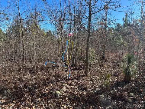 3117 Timrod Rd, Bethune, SC 29009 photo 3