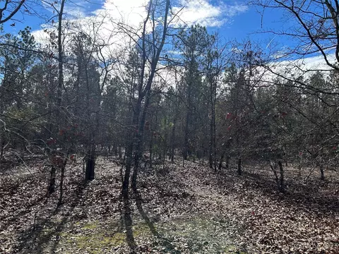 3117 Timrod Rd, Bethune, SC 29009